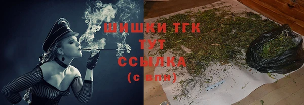 винт Липки